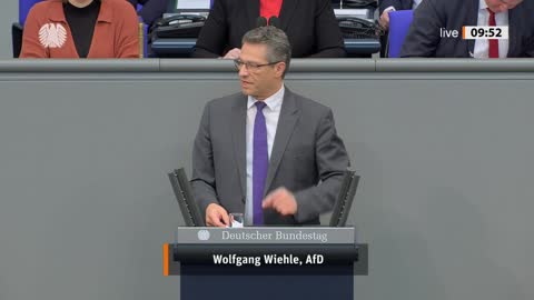 Wolfgang Wiehle Rede vom 25.11.2022 - Wirtschaft und Klimaschutz