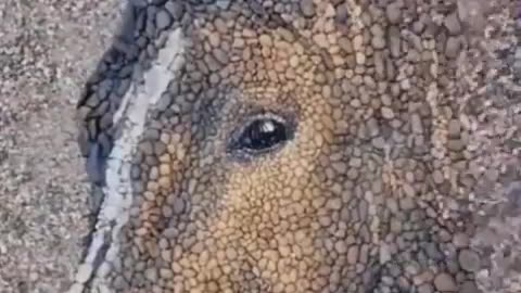 ARTIST MAKES PORTRAITS OUT OF PEBBLES