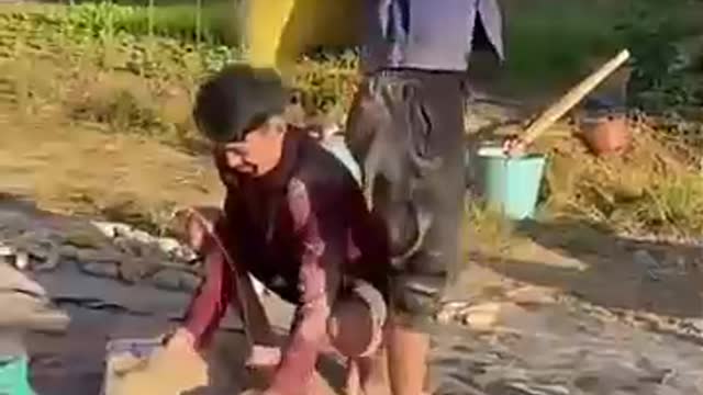 funny video compilation😂