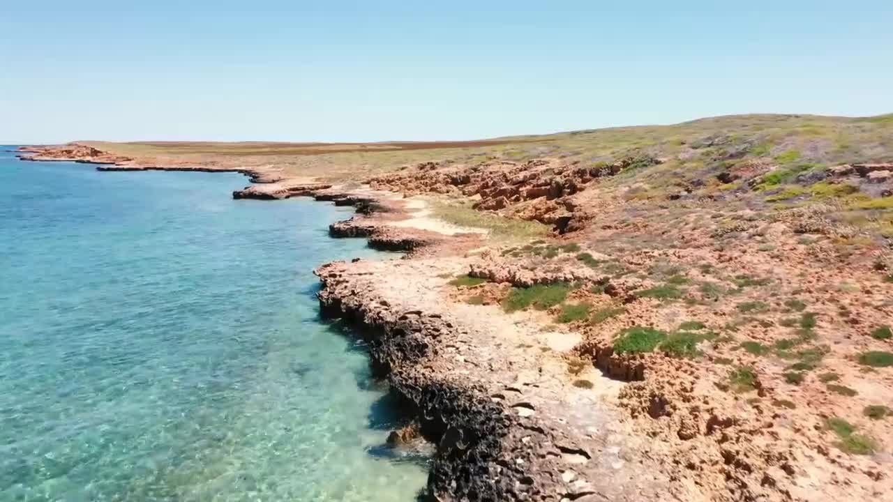 Saw a lot of turtles while catching prawns