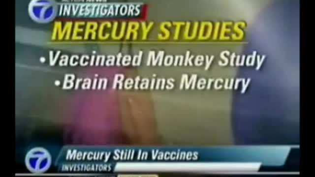 SWINE FLU CONSPIRACY 2010