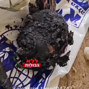 Hamas Terrorist Video 6