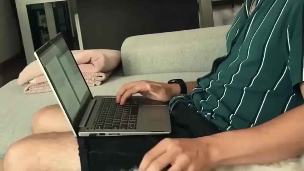 Funniest cats🐱In The World😂 Funny and Fails Pets Video