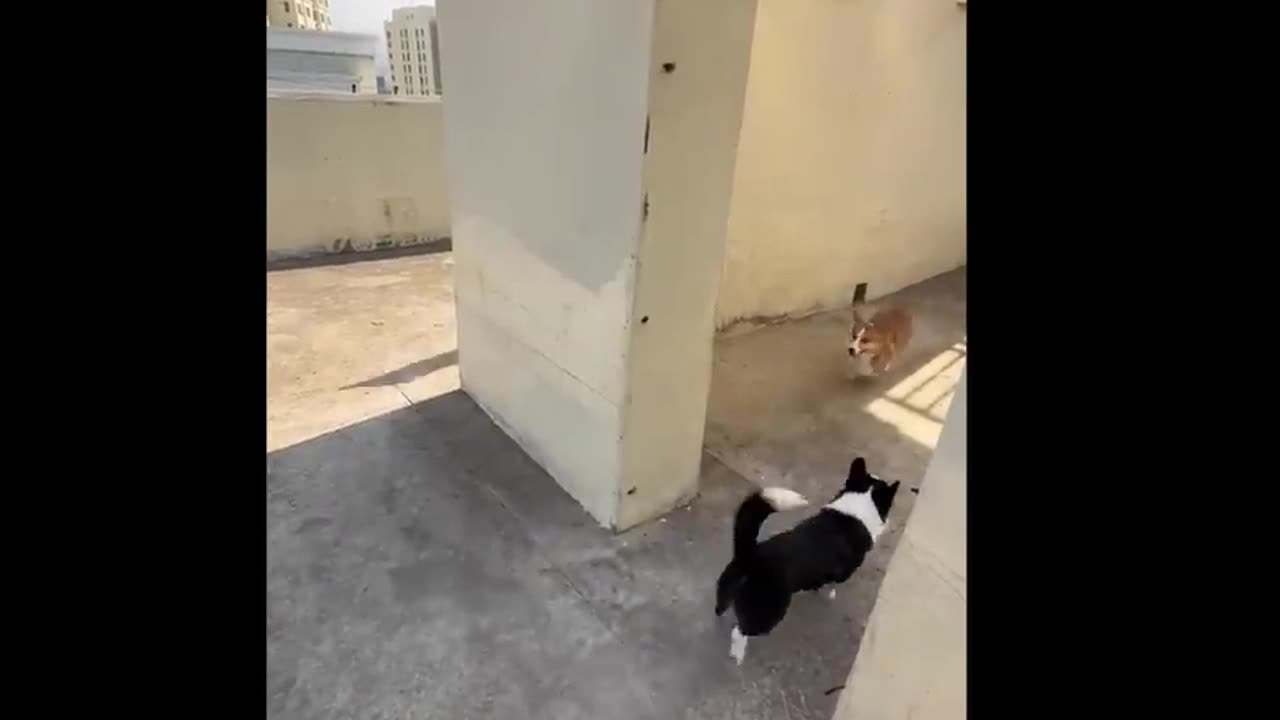 TRY NOT TO LAUGH 😆 Best Funny Videos Compilation 😂😁😆 PART 8