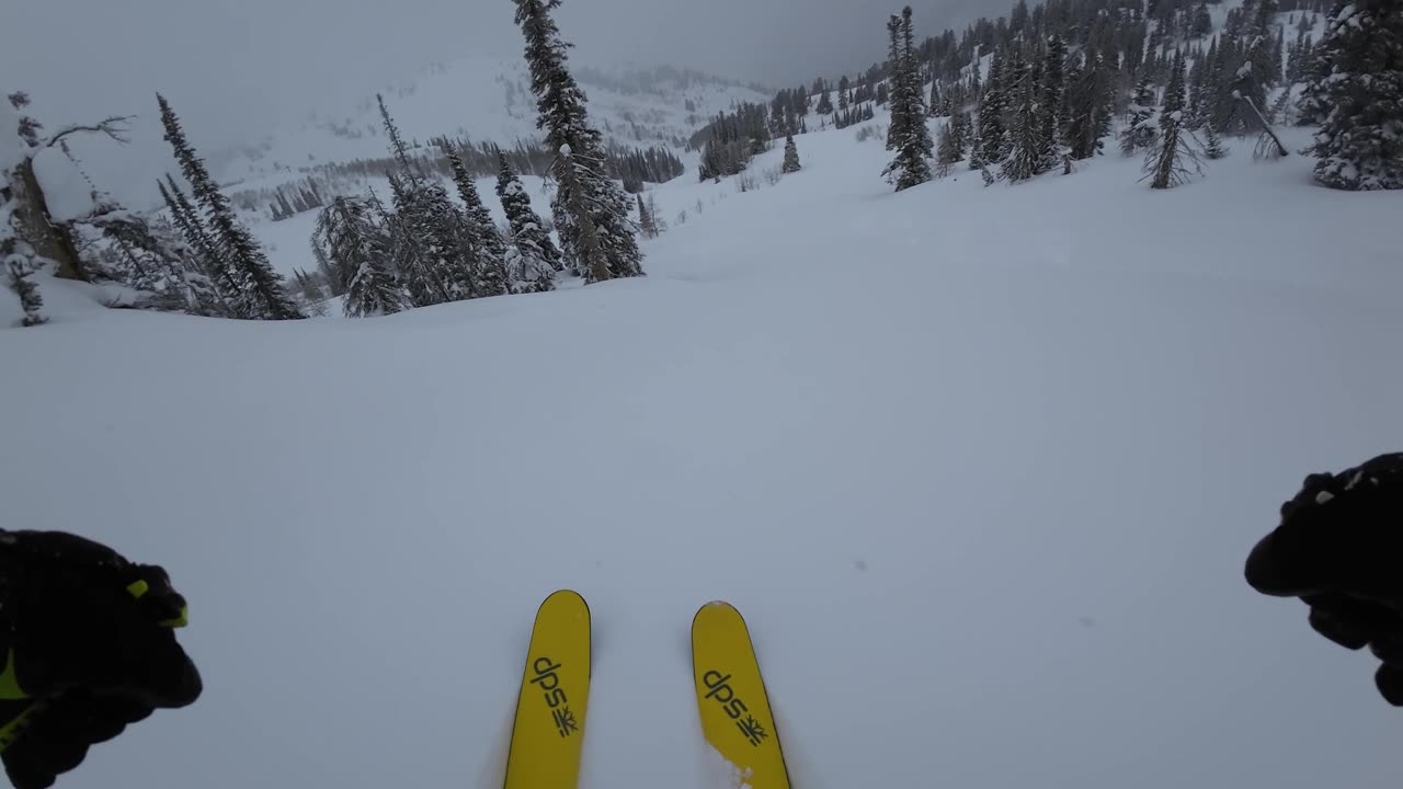 3/30 #3 Dr. C's flat light good powder but crowded :O)
