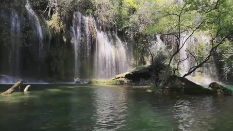 Beautiful forest and River