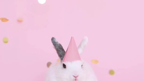 Bunny Birthday Winks With Birthday Song