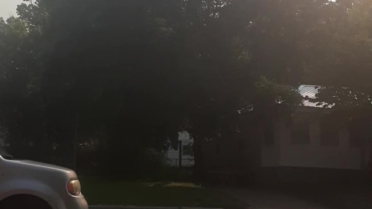 Stupid Crazy Neighbor