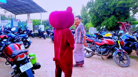 Teddy Bear Comedy Funny Video