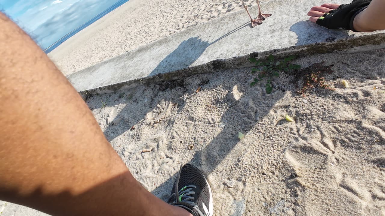 E-BIKE RIDE pela MS Halloween-Arrabida Hills S05E22 31th of Oct 2K24 PART 12