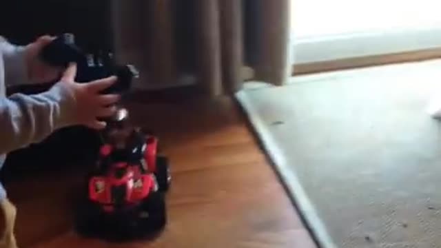 Boy & Dog Indoor Race Car Chase Video