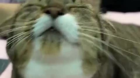 😀😀😀