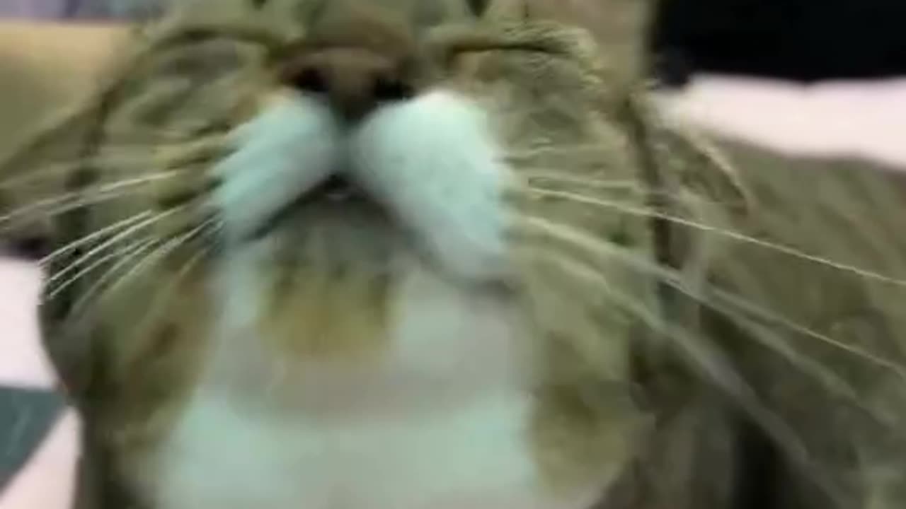 😀😀😀