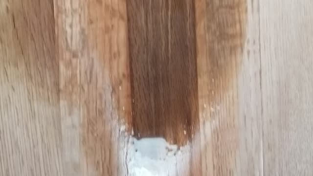 Step 4 cat urine wood flooring removal