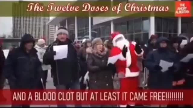 THE 12 DOSES OF CHRISTMAS