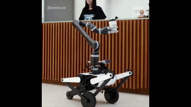 Cool Flexible AI Robot Which Is Capable Of Many Things