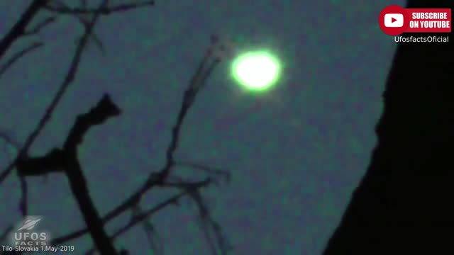 Bright UFO in the Trees May 2019