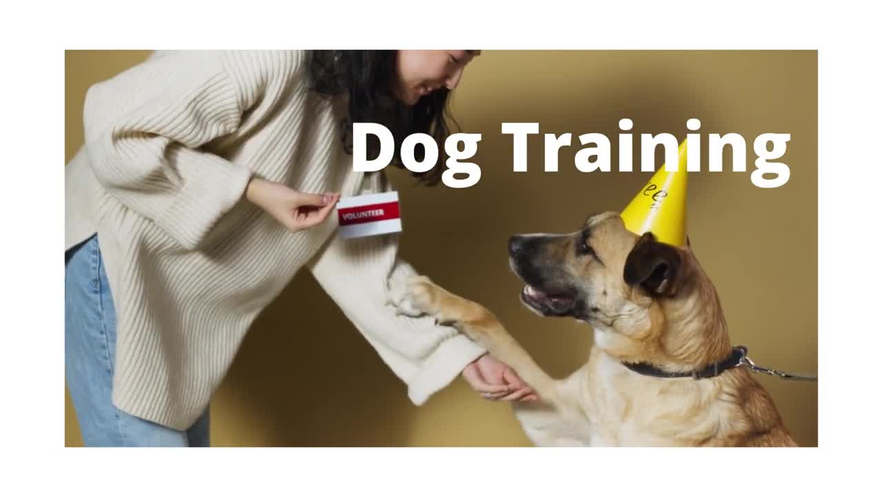 how to train a dog ? dog training fundamentals