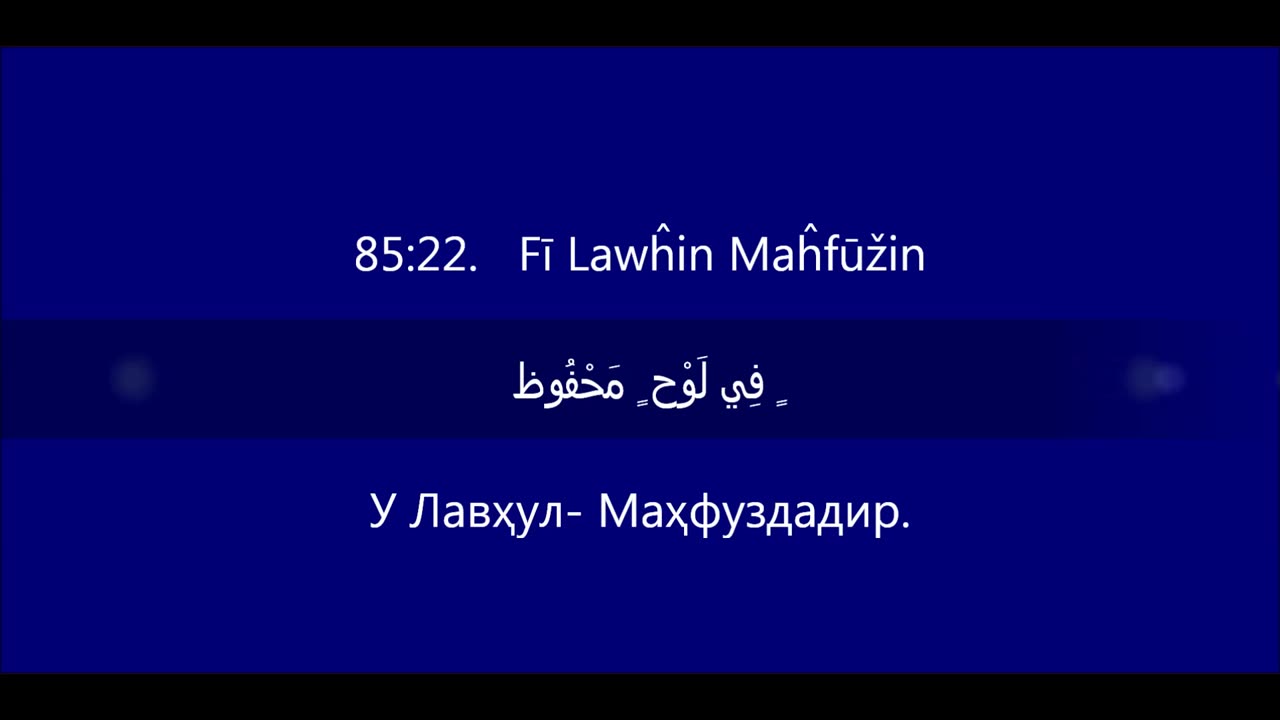 Quran Special Status Video, Quran Islamic Status Video, Holy Quran Lines Whatsapp Status Video,_30