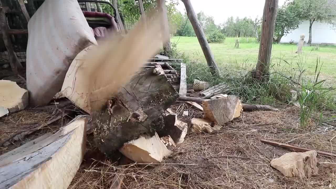 REAL SIZE WOODEN BEAR, amazing chainsaw wood carving