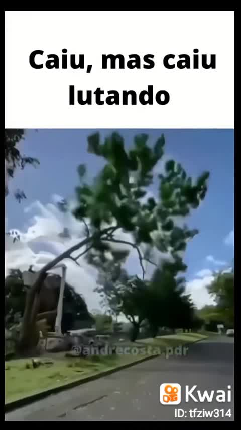 Fell More Fell Fighting