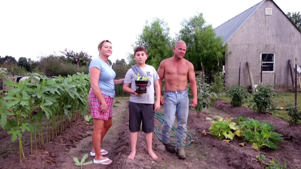 An Okra Garden, Scott, Louisiana