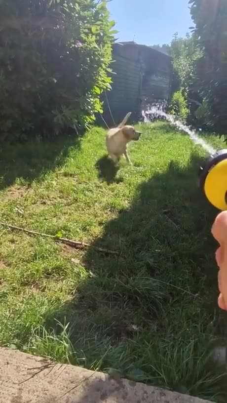 She just likes water