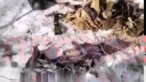 Ancient Rifle Taken Off of Russian Soldier