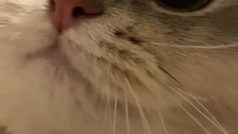 Hey there