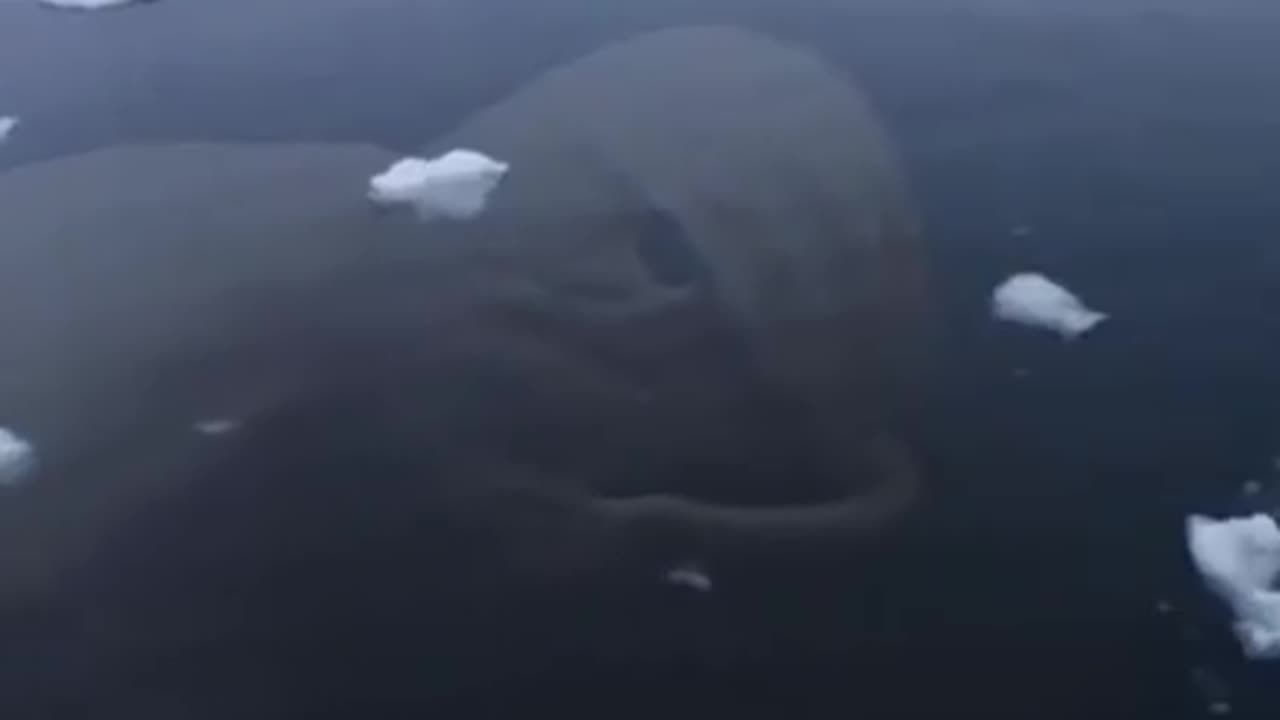 Antarctica Mysteries Part 2