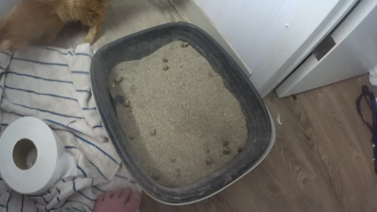 Willie the SERIAL KILLER!