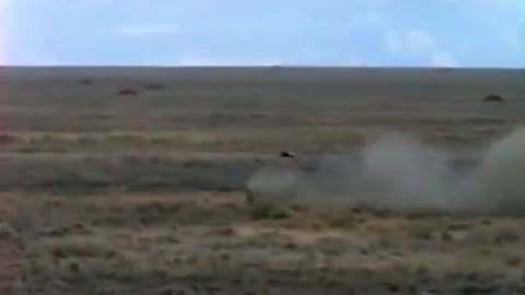 Amazing Cheetah Chase Compilation-8