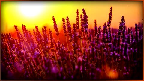 Relaxing Music # 10