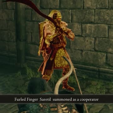 When your buddy goes AFK at the start of a boss fight #EldenRing