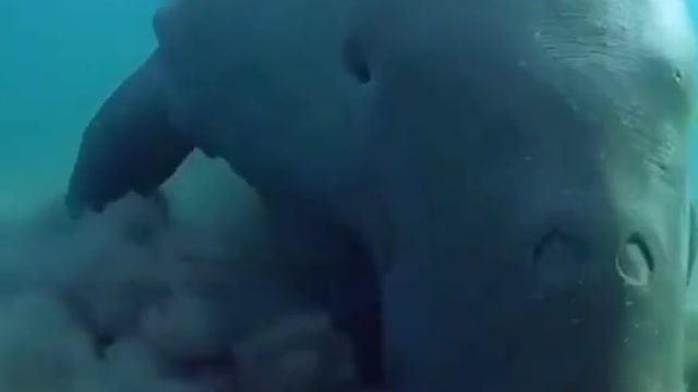 What do you guys think this is🤔🧐