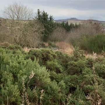 Dec2023 America expresses support for UN aid resolution on Gaza