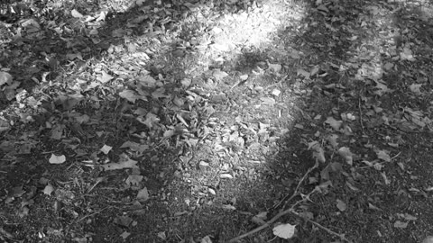 The Park - Uriah Heep