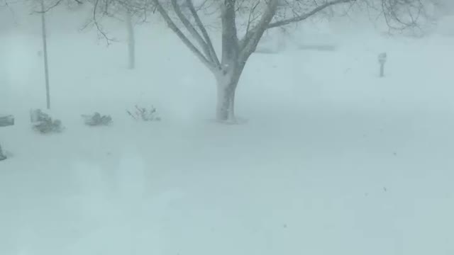 Blizzard 2023 Lockport NY