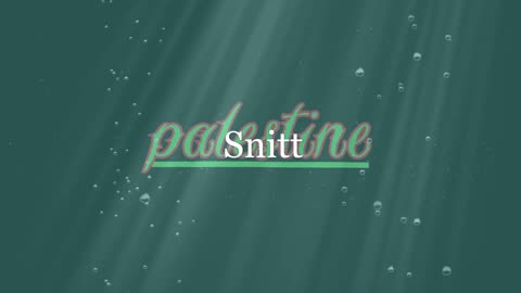 Palestine ¦ Snitt (dalszöveges audió)