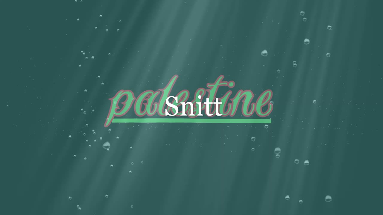 Palestine ¦ Snitt (dalszöveges audió)