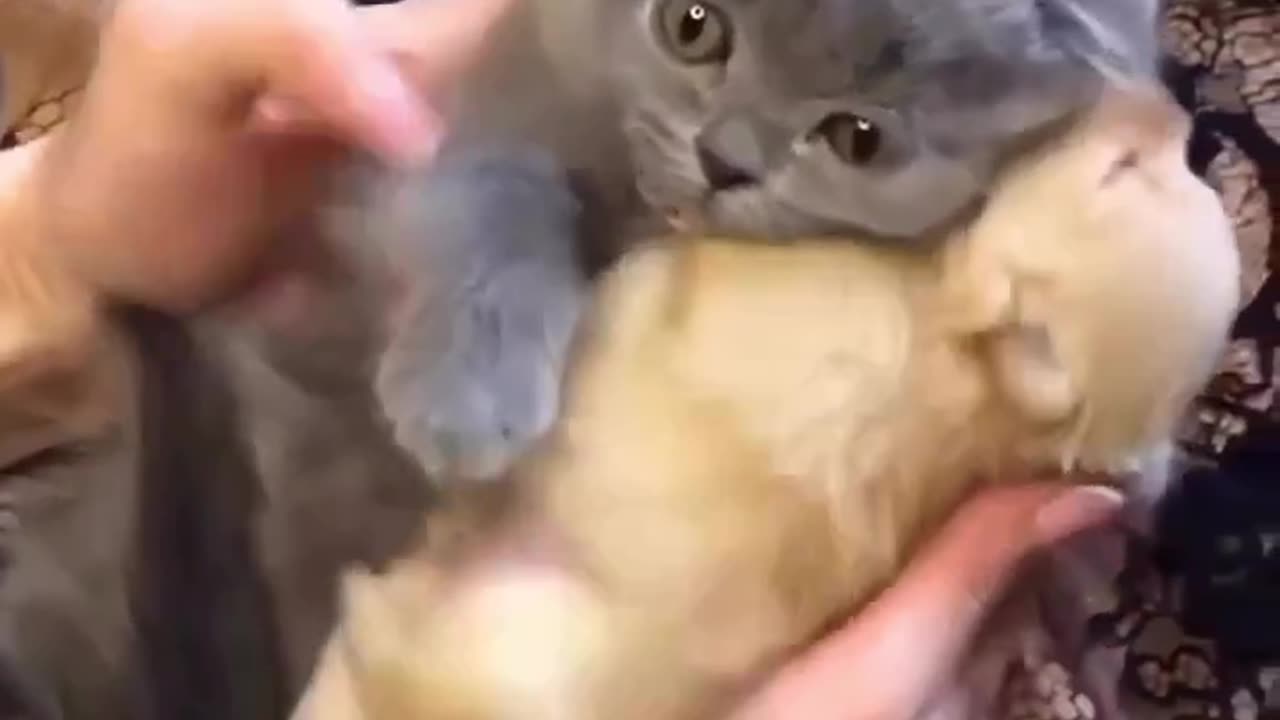 So cute 😘
