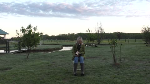 Happy Easter Morning Prayer