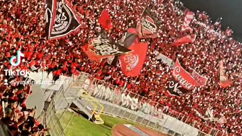 Foot ball ultras