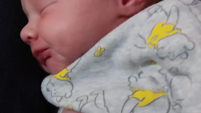 Lilly January 26th 2022