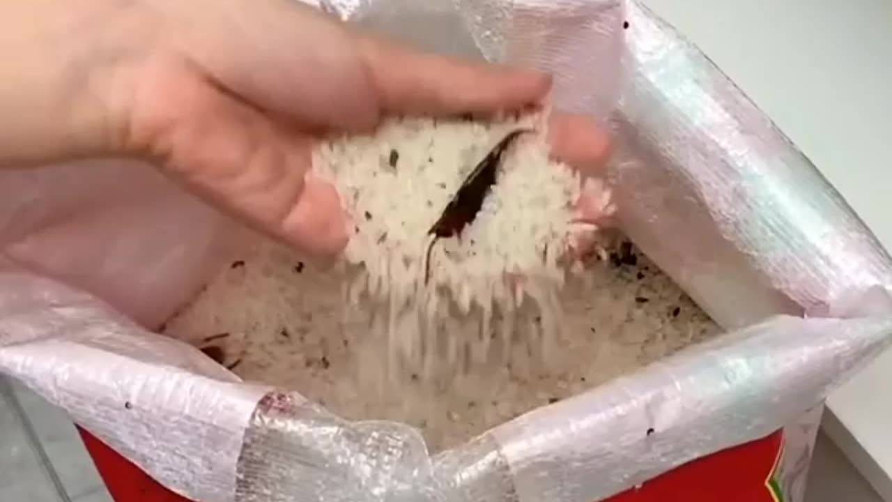 Modern and simple Cookingware