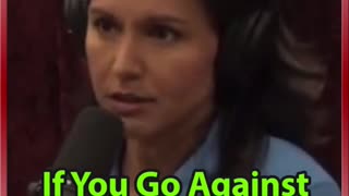 Tulsi Gabbard: If you go against Hillary Clinton, you're dead...