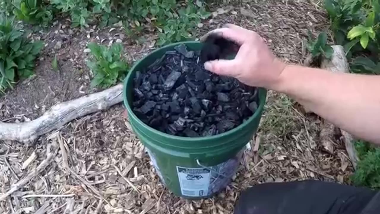 The Easiest Way To Make Biochar And Why It's Good For The Garden