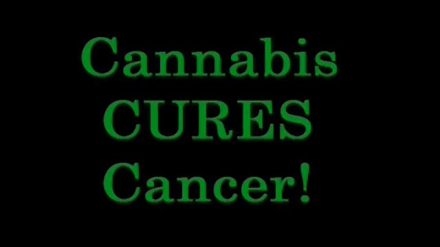 Cannabis CURES Cancer