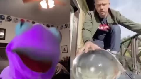 Kermit in TikTok