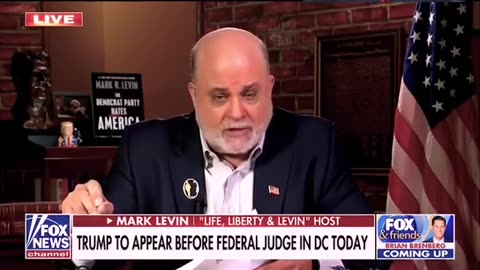 The Great Levin Breaks It All Down | B.S. Indictments | PANIC IN D.C.